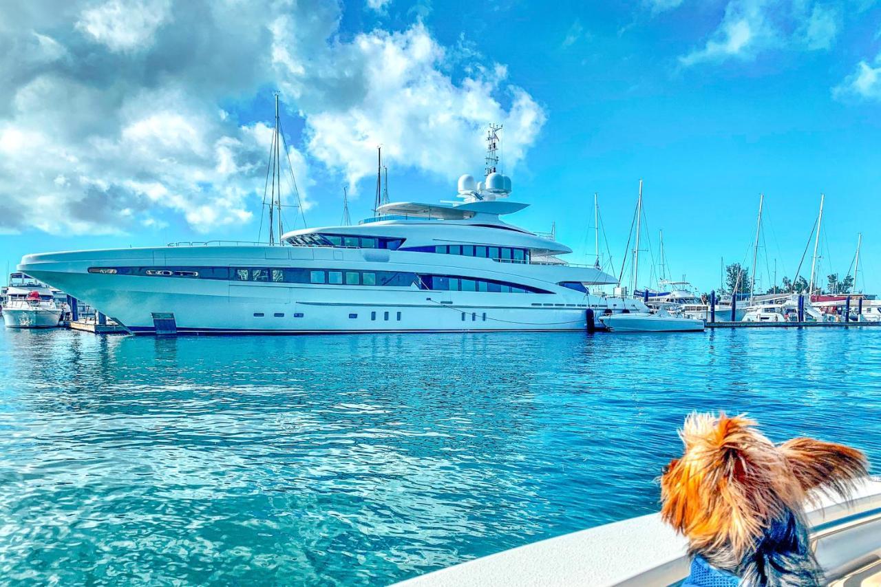 Sunrise Suites - Butterfly Nest #107 Key West Bagian luar foto